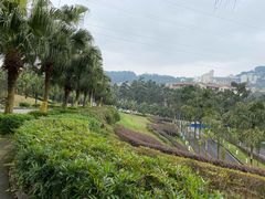-南山植物园