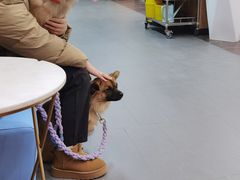 -联合动物医院(光谷诊疗中心)