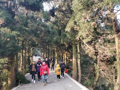 -南岳衡山风景名胜区