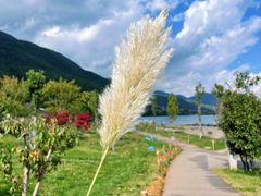 -丽江泸沽湖景区