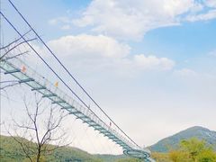 -山沟沟景区