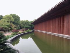 -八大山人梅湖景区