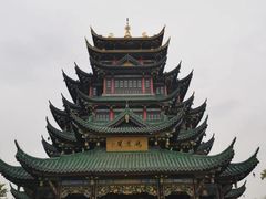 -大龙山(地铁站)