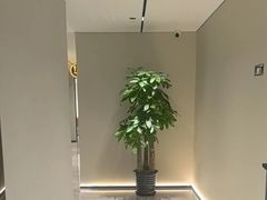 -W·24H茶楼·棋牌·掼蛋(望京店)