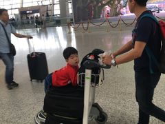 -上海浦东国际机场-T2航站楼