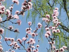 -洨河生态公园