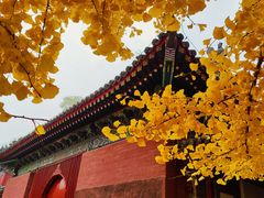 -承恩寺