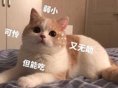 -德克士(龙阳广场店)