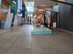-墨尔本博物馆(Melbourne Museum)