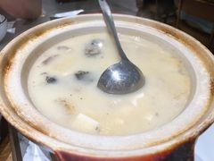 千岛湖大鱼头汤-粤·啫啫