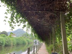 -东湖落雁景区