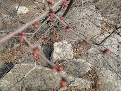 -白水寺森林公园