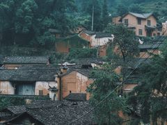 -杨家堂村