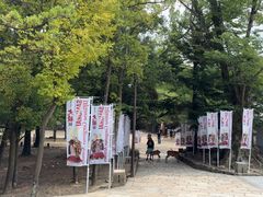 -奈良公园