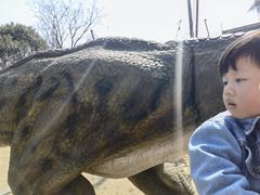 -合肥滨湖国家森林公园