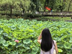 -沐仙湖湿地公园