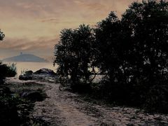 -上海市保健医疗中心