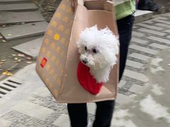 -瑞鹏宠物医院·超声·骨科·奇麟分院(蜀都万达店)