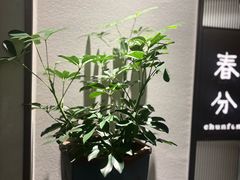 -花锦堂·隐庐