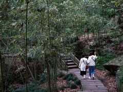 -严子陵钓台(富春江小三峡)