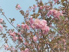 -白鹭湾湿地公园