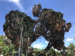 -奥兰多迪士尼动物王国乐园