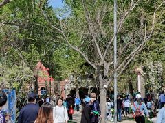 -南戴河国际娱乐中心