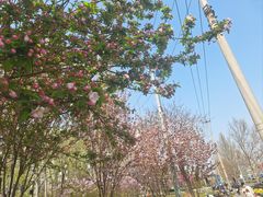 -田村(地铁站)