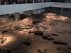 -自贡恐龙博物馆
