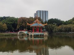 -金砂公园