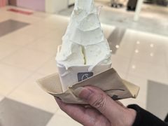 -野人先生Gelato(上海长宁龙之梦店)