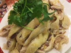 白斩鸡-振鼎鸡(华阴路店)