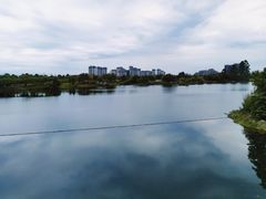 -眉山湿地公园(东坡区)
