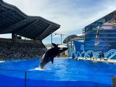 -上海海昌海洋公园-停车场
