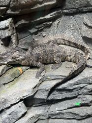 -Zoolung Zoolung动物主题公园(海信广场店)