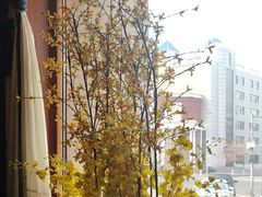 -八府香鸭·啫啫煲(华山路店)