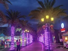 -三亚海昌梦幻海洋不夜城