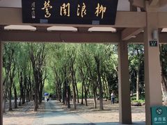-柳浪闻莺公园
