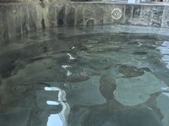 -兴芮温泉度假区