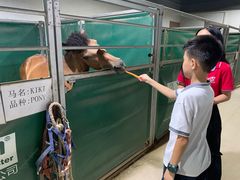 -李振强马术运动推广中心(南城店)