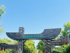 -溱湖国家湿地公园