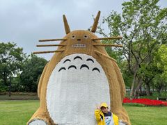 -长兴太湖图影湿地文化园