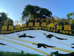 -西双版纳原始森林公园
