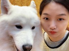 -和它·交个朋友·狗咖猫咖(爱琴海店)