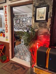 -脱白计划纹身集团