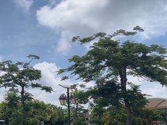 -石螺口海滩