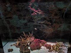 -暹罗海洋世界