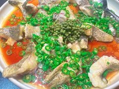 青青椒麻龙胆斑-OCEAN一席海鲜•海景餐厅(双子塔店)