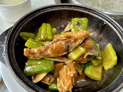 -港升鱼师傅·中山脆肉鲩