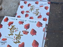-大自然农场蔬菜草莓采摘园